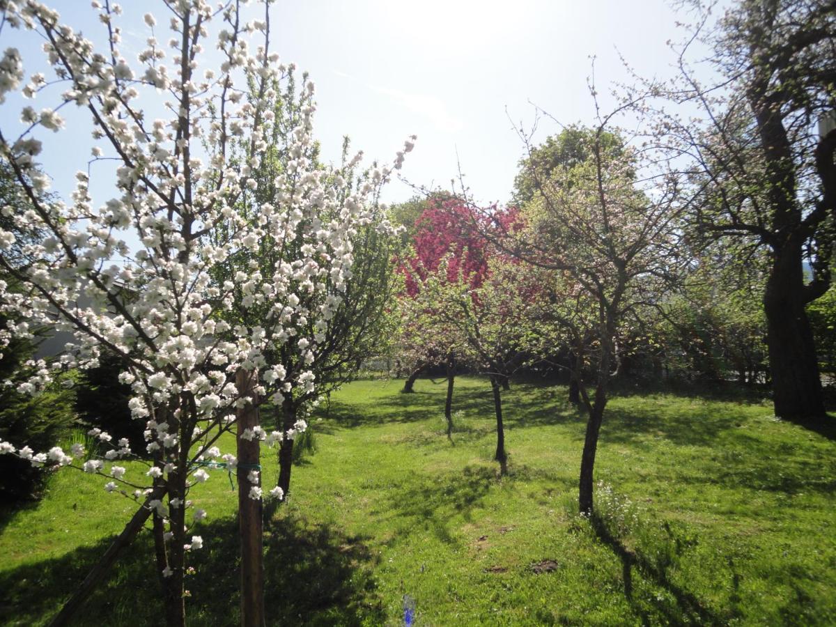 Zeilinger Villa Knittelfeld Buitenkant foto